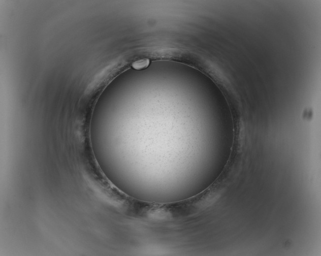 X0000111390258200907171253