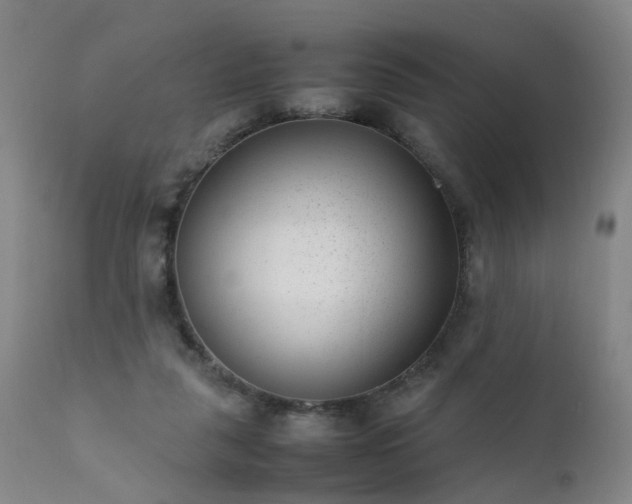 X0000111390259200907171253