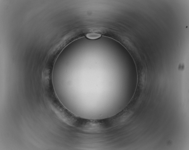 X0000111390260200907171253