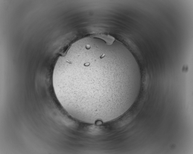 X0000111390261200907171253