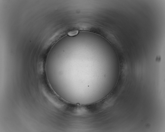 X0000111390262200907171253