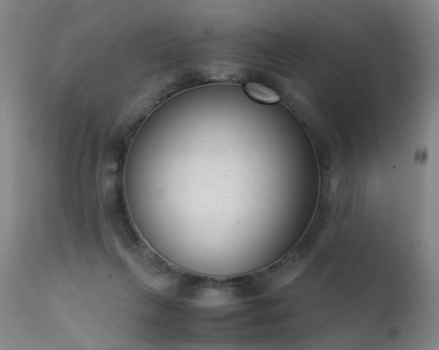 X0000111390263200907171253