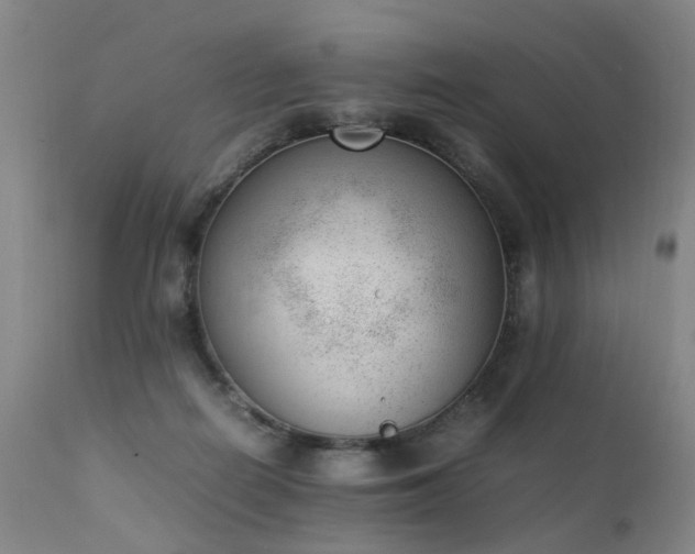 X0000111390266200907171253