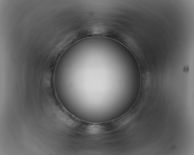 X0000111390269200907171253