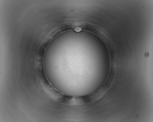 X0000111390270200907171253