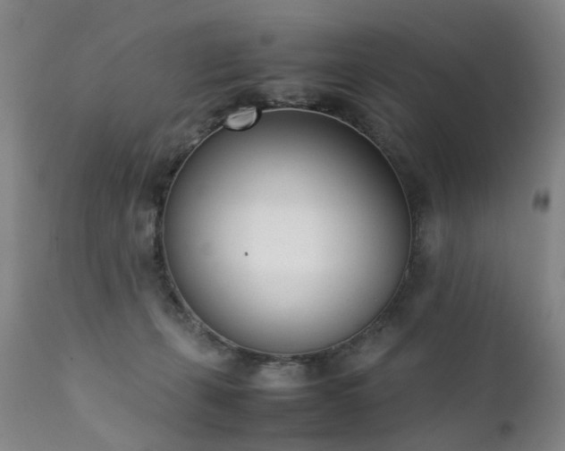 X0000111390271200907171253