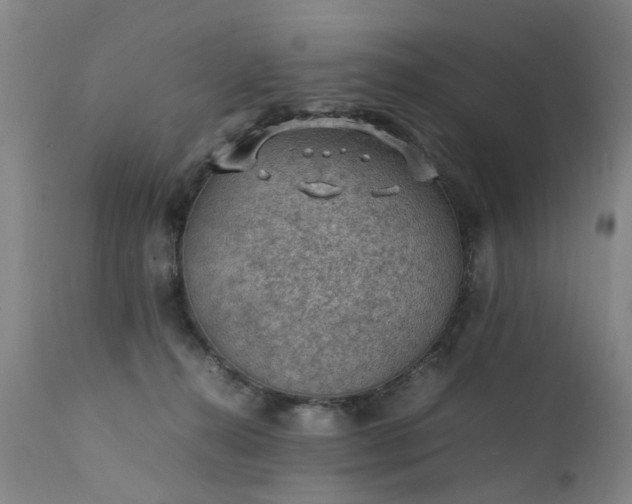 X0000111390272200907171253