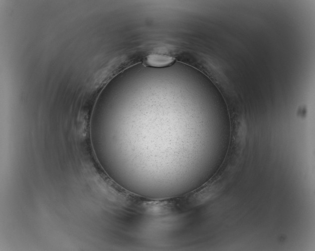 X0000111390273200907171253