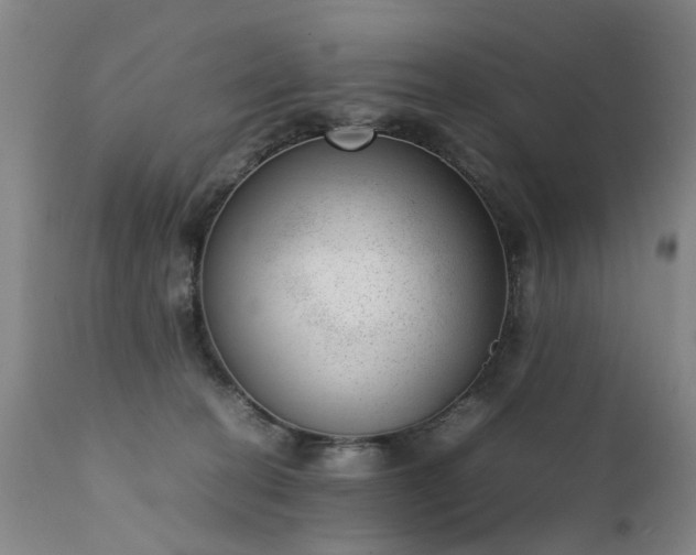 X0000111390274200907171253