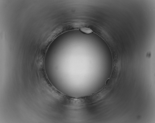 X0000111390277200907171253