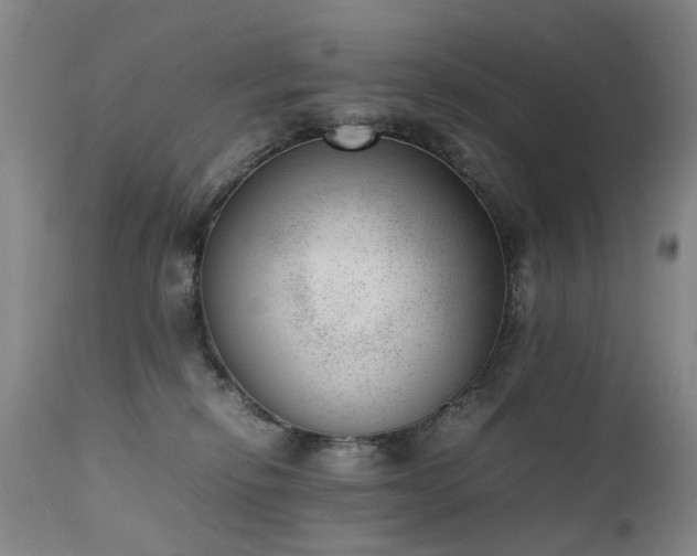 X0000111390278200907171253