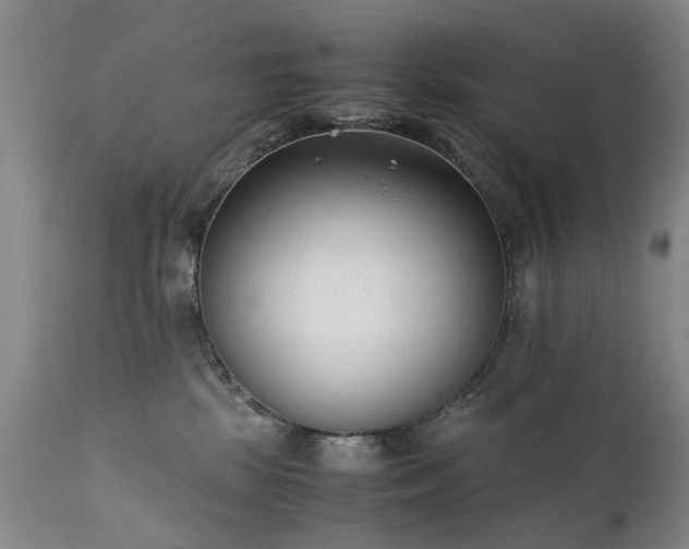 X0000111390281200907171253