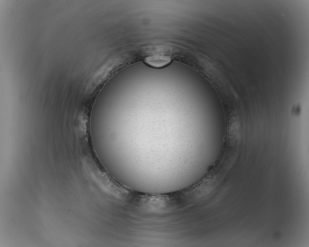 X0000111390282200907171253