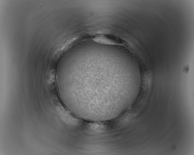 X0000111390284200907171253