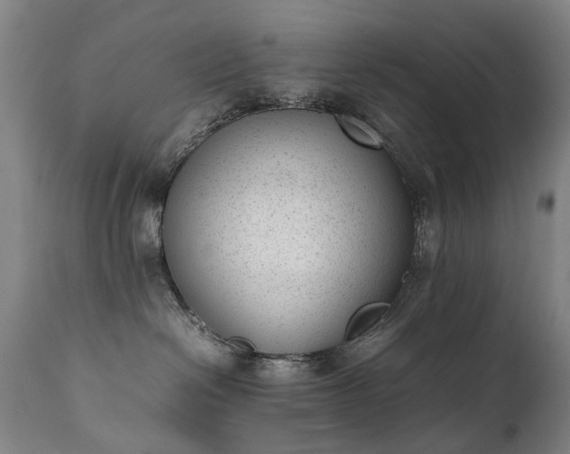 X0000111390286200907171253