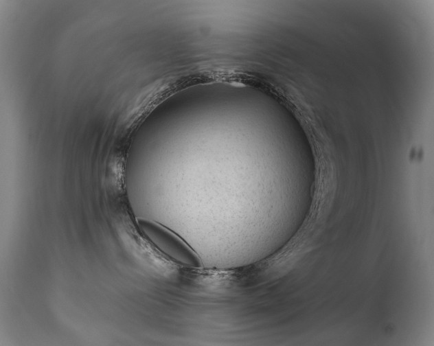 X0000111390288200907171253