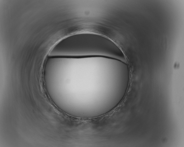 X0000111390289200907171253