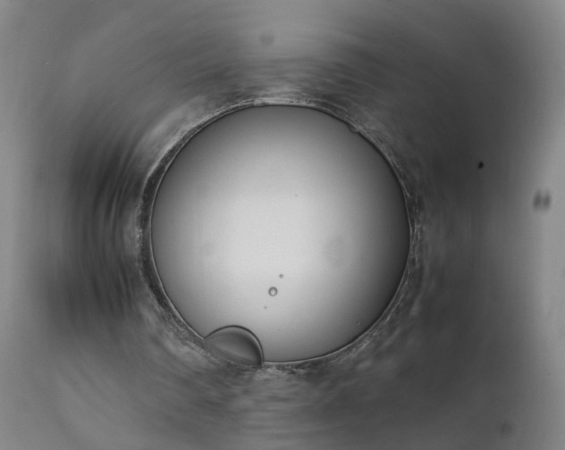 X0000111390290200907171253