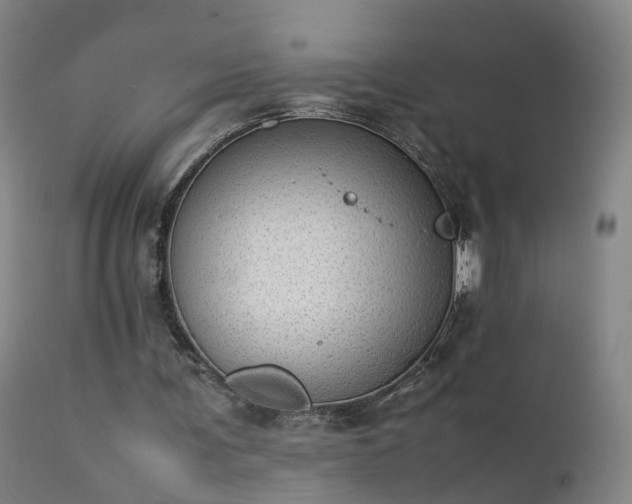 X0000111390291200907171253