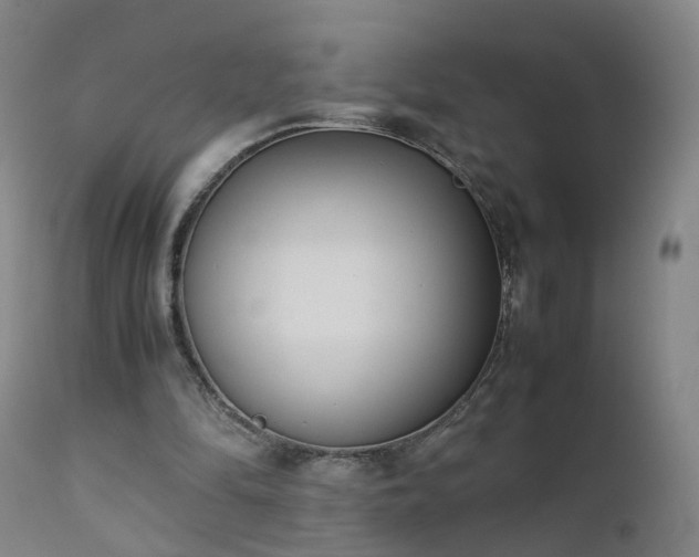 X0000111390294200907171253