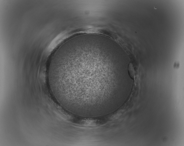 X0000111390295200907171253