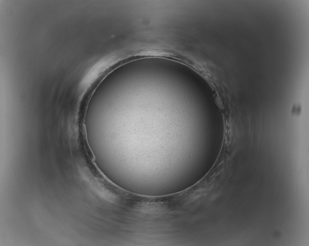 X0000111390296200907171253