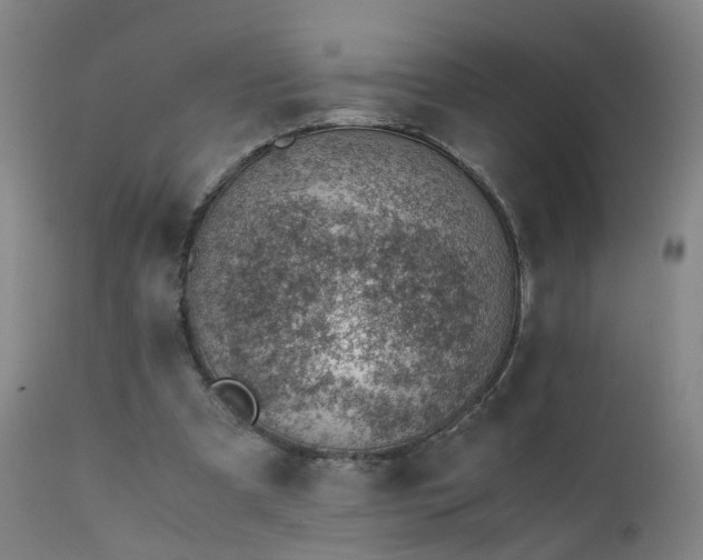 X0000111390297200907171253