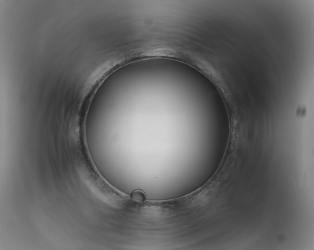 X0000111390298200907171253