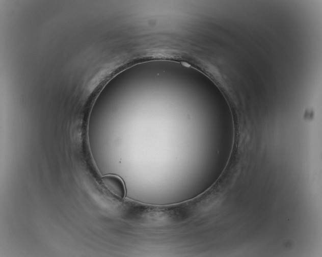 X0000111390299200907171253