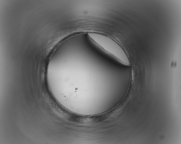 X0000111390301200907171253