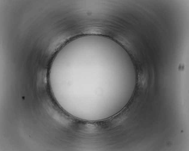 X0000111390302200907171253