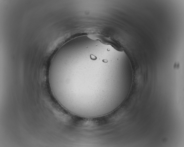 X0000111390303200907171253