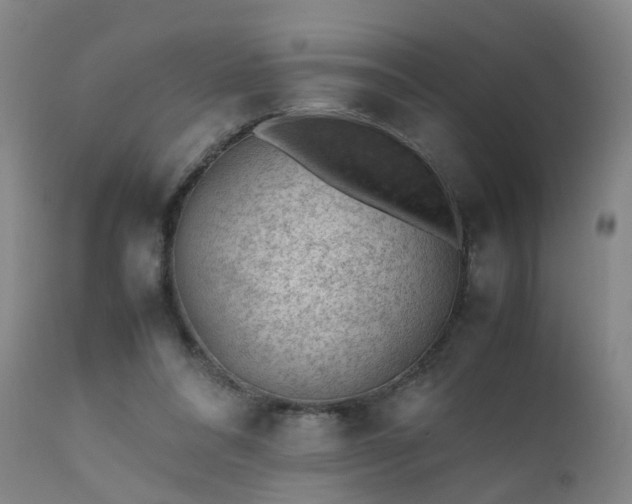 X0000111390304200907171253