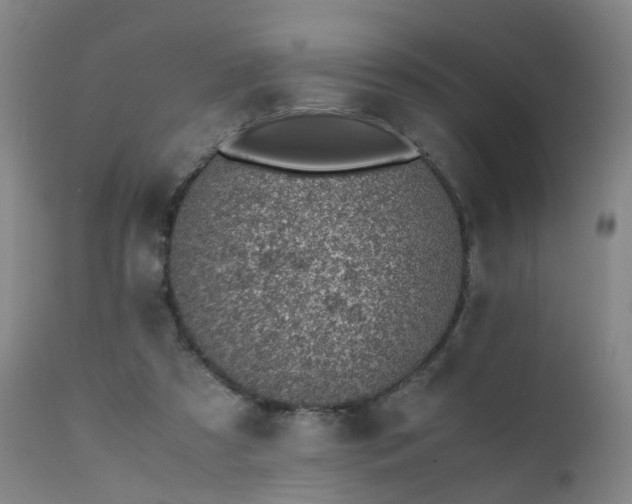 X0000111390305200907171253