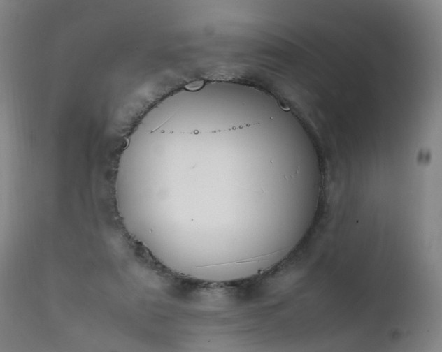 X0000111390307200907171253