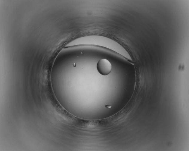 X0000111390308200907171253