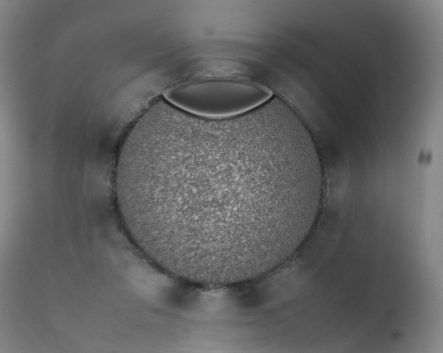 X0000111390309200907171252