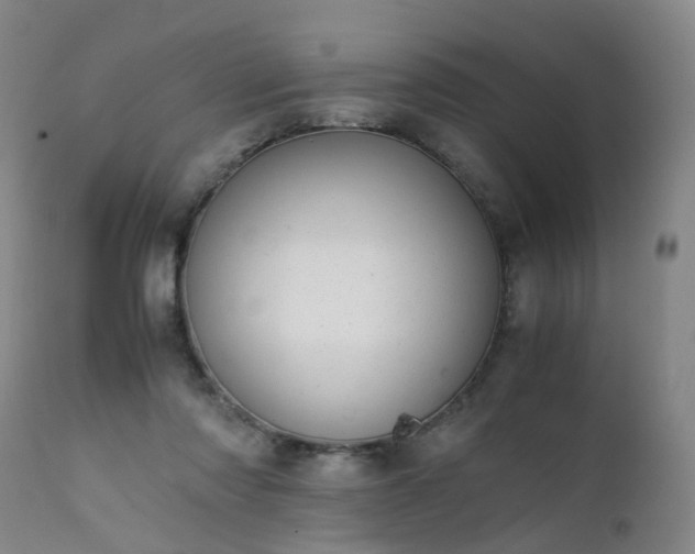 X0000111390310200907171252