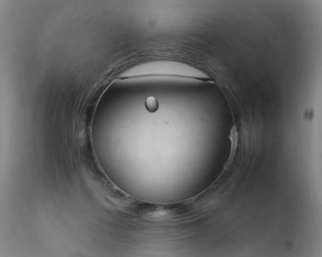 X0000111390312200907171252