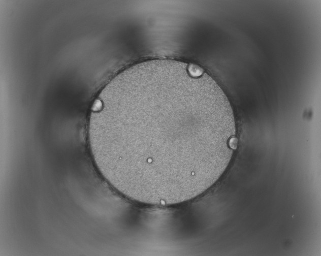 X0000111390313200907171252