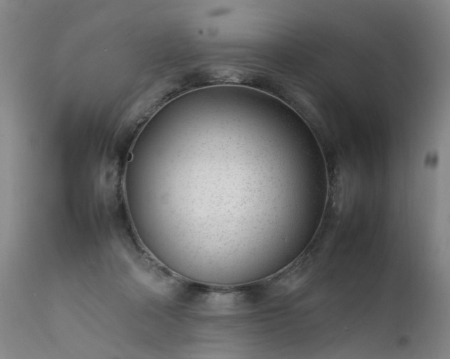 X0000111390314200907171252