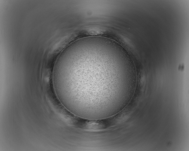 X0000111390315200907171252