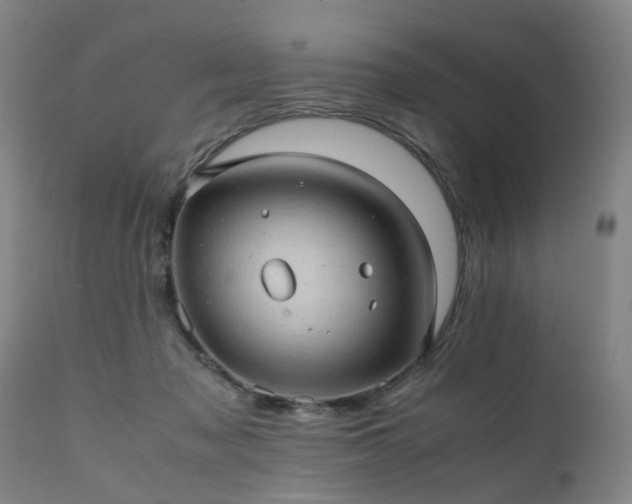 X0000111390317200907171252