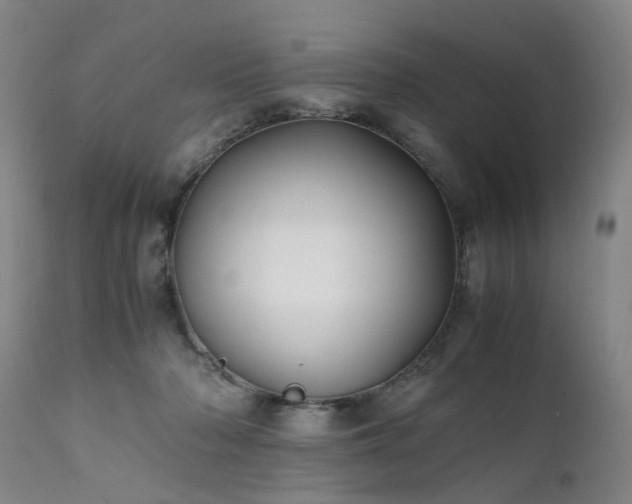 X0000111390318200907171252