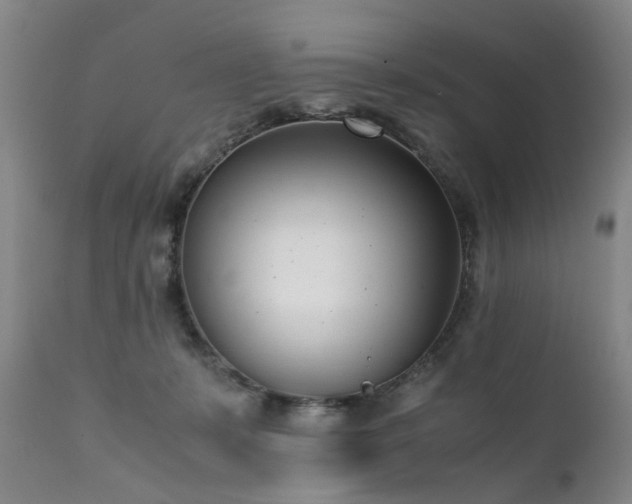 X0000111390319200907171252