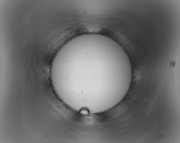 X0000111390321200907171252