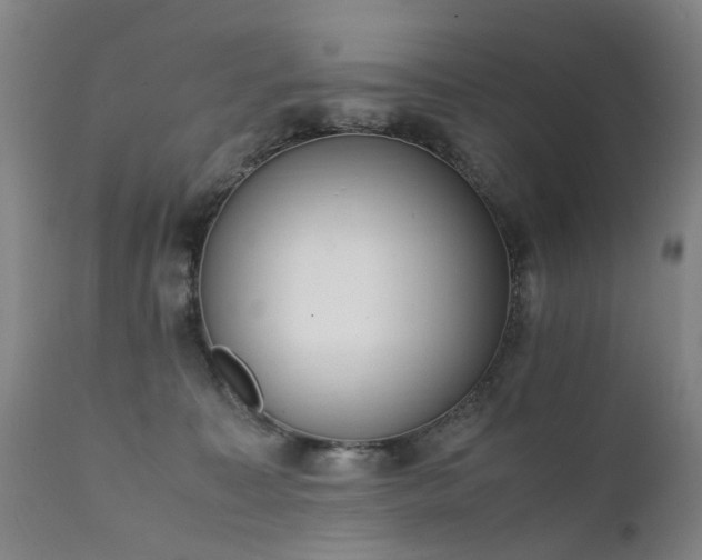 X0000111390323200907171252