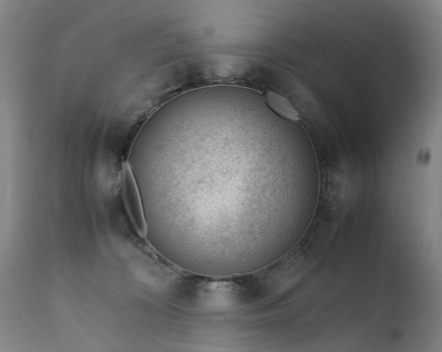 X0000111390324200907171252