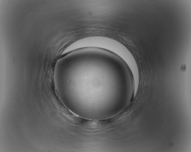 X0000111390325200907171252