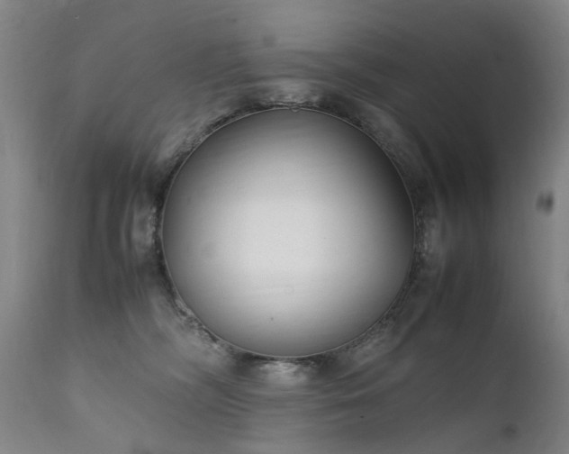 X0000111390326200907171252